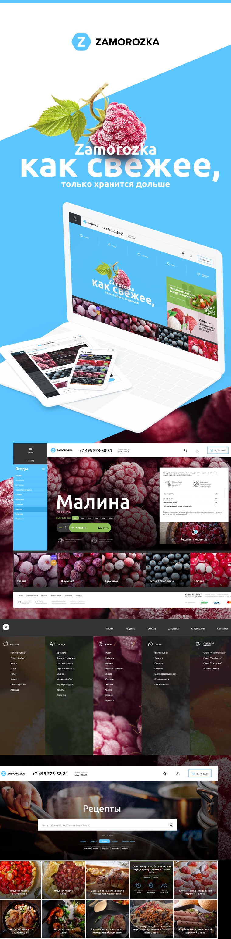 Эскиз проекта zamorozka.ru — online frozen food store