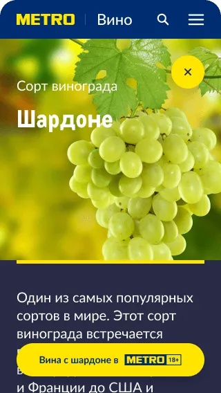 slide-metrowine-5-3